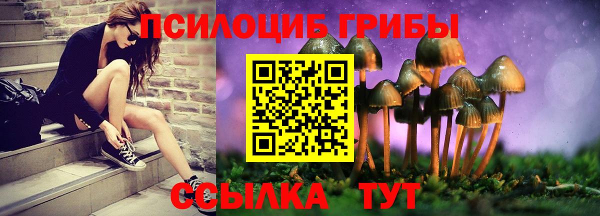 Псилоцибиновые грибы мухоморы Ступино